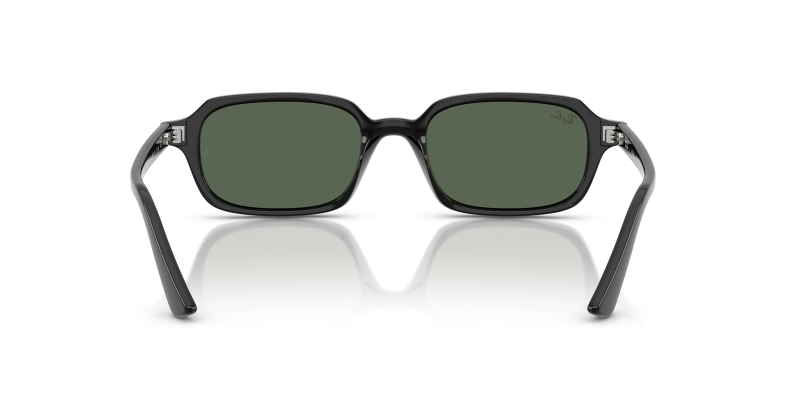 Rayban RB4455F 667771 ขาแว่นด้านใน