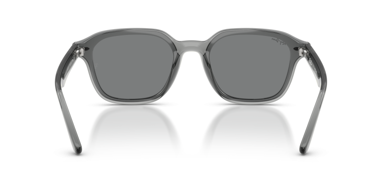 Rayban RB4458D-645087 645087 ขาแว่นด้านใน