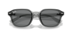 Rayban Sun RB4458D 645087 Transparent Grey Dark Grey Rayban RB4458D-645087 645087 close-up ด้านหน้า
