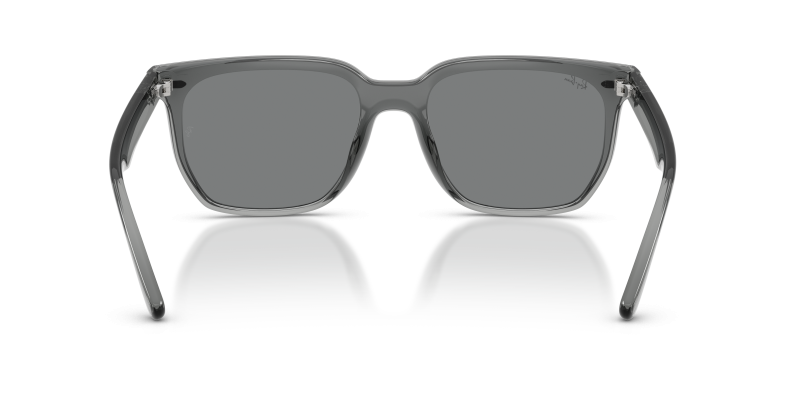 Rayban RB4466D-645087 645087 ขาแว่นด้านใน