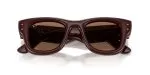 Ray-Ban RB4940 687773 close-up ด้านหน้า เลนส์น้ำตาลเข้ม Brown