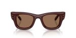 Ray-Ban RB4940 687773 ด้านหน้า แว่นกันแดด Wayfarer Puffer สีน้ำตาลเข้ม สำหรับผู้ชาย