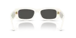 Rayban RB4944 687487 ขาแว่นด้านใน