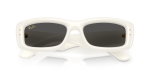 Rayban RB4944 687487 close-up ด้านหน้า