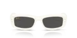 Rayban RB4944 687487 แว่นกันแดดทรงหมอน กรอบครีมล้วน เลนส์ดำสนิท สำหรับทุกเพศ