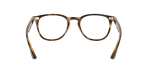 Rayban Optic RX7159F 2012 Havana Rayban RX7159F 2012 ขาแว่นด้านใน