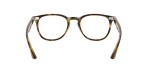 Rayban Optic RX7159F 2012 Havana Rayban RX7159F 2012 ขาแว่นด้านใน