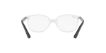 Rayban RY1598 3541 ขาแว่นด้านใน