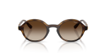 Vogue Sun VO5692S W65613 Dark Havana Gradient Brown Vogue VO5692S W65613 แว่นกันแดดฮาวานาเข้มเลนส์ไล่ระดับน้ำตาล สำหรับผู้หญิง