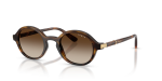 Vogue Sun VO5692S W65613 Dark Havana Gradient Brown Vogue VO5692S W65613 มุมเอียง 3/4