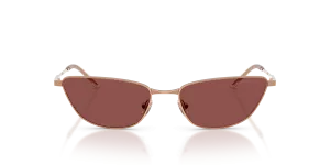 Emporio Armani EA2174B 301175 ด้านหน้า แว่นกันแดดทรงตาแมว Rose Gold เลนส์ม่วงเข้ม