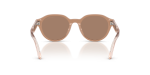 Emporio Armani Sun EK4008U 638473 Shiny Opal Tundra Dark Brown Emporio Armani EK4008U 638473 ขาแว่นด้านใน