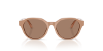 Emporio Armani Sun EK4008U 638473 Shiny Opal Tundra Dark Brown Emporio Armani EK4008U 638473 ด้านหน้า