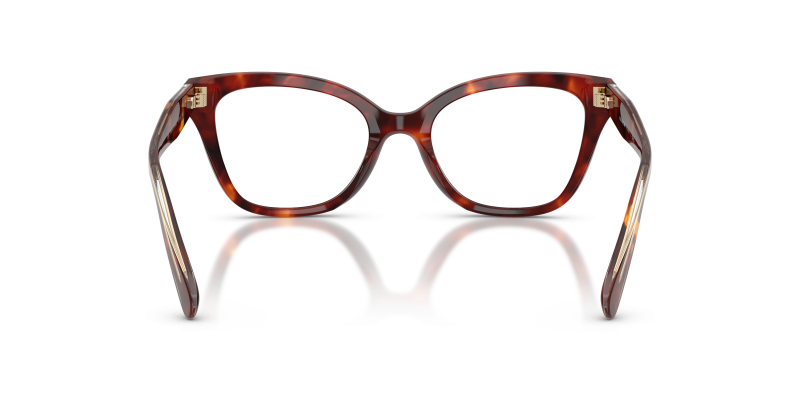 Coach HC6290U 5938 Walnut Tortoise ด้านหลัง