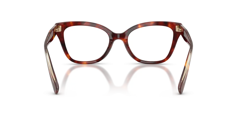 Coach HC6290U 5938 Walnut Tortoise ด้านหลัง