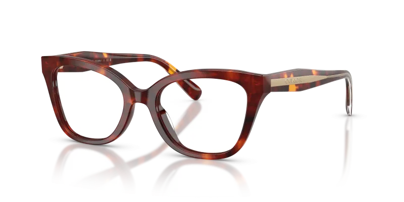 Coach HC6290U 5938 Walnut Tortoise มุม 3 ส่วน 4