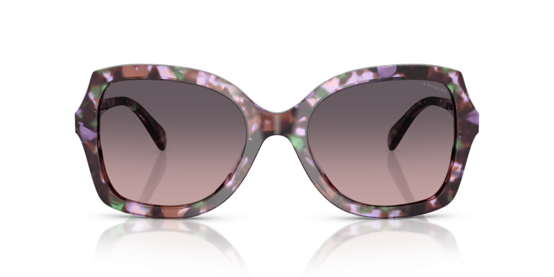 Coach Sun HC8410U 584346 สีเต่ามุกอเมทิสต์ Smoke Purple Gradient แว่นกันแดด Coach HC8410U 584346 สีเต่ามุกอเมทิสต์ ทรงผีเสื้อ ผู้หญิง