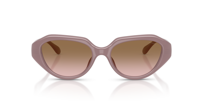 Coach Sun HC8433U 549511 Milky Putty Brown Peach Gradient Coach HC8433U 549511 Milky Putty - ด้านหน้า