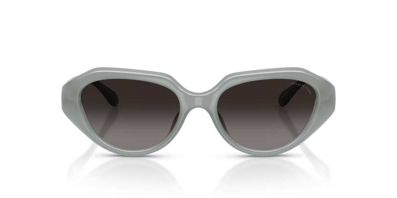 Coach Sun HC8433U 5905T3 Milky Eucalyptus Grey Polarized Coach HC8433U 5905T3 Milky Eucalyptus มองด้านหน้า เลนส์โพลาไรซ์เทา