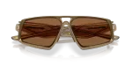 Oakley OO6029-03 602903 ขาแว่นด้านใน