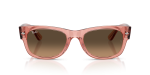 Rayban RB0832SF-684843 684843 แว่นกันแดดอะซิเตทชมพูโปร่งใส Mega Wayfarer II