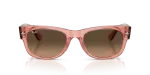 Rayban Mega Wayfarer II RB0832SF-684843 ชมพูโปร่งใส ไล่ระดับสีดำน้ำตาลอ่อน Rayban RB0832SF-684843 684843 แว่นกันแดดอะซิเตทชมพูโปร่งใส Mega Wayfarer II