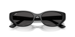Rayban RB4457D-667787 ขาแว่นด้านใน