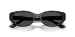 Rayban RB4457D-667787 ขาแว่นด้านใน