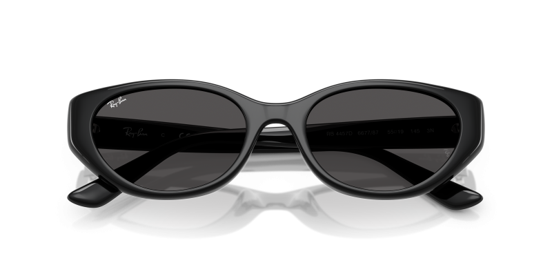 Rayban RB4457D-667787 ขาแว่นด้านใน