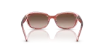Rayban RJ9081S 717313 ขาแว่นด้านใน