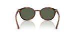Vogue Sun VJ2033 W65671 Dark Havana Dark Green Vogue VJ2033 W65671 ด้านหลัง ทรงกลมลายฮาวานาคลาสสิก