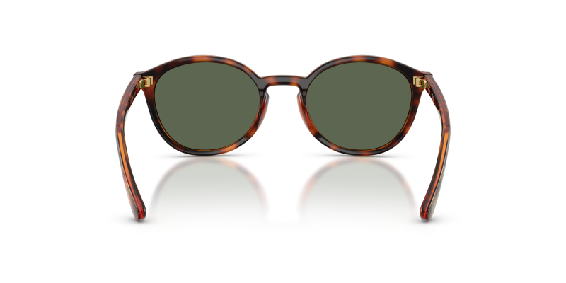 Vogue VJ2033 W65671 ด้านหลัง ทรงกลมลายฮาวานาคลาสสิก