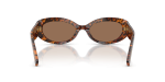 Dolce & Gabbana Sun DG4537 347073 Leo Transparent Dark Brown Dolce & Gabbana DG4537 347073 ขาแว่นด้านใน