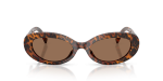 Dolce & Gabbana Sun DG4537 347073 Leo Transparent Dark Brown Dolce & Gabbana DG4537 347073 แว่นกันแดดลายเสือดาวโปร่งใสเลนส์น้ำตาลเข้ม สำหรับผู้หญิง