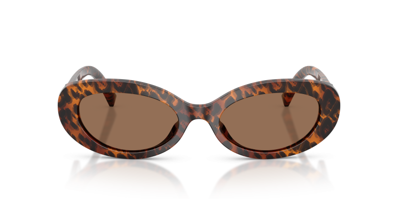 Dolce & Gabbana Sun DG4537 347073 Leo Transparent Dark Brown Dolce & Gabbana DG4537 347073 แว่นกันแดดลายเสือดาวโปร่งใสเลนส์น้ำตาลเข้ม สำหรับผู้หญิง
