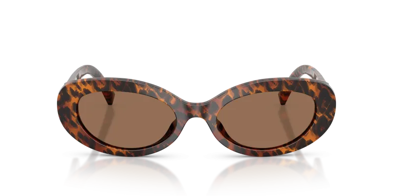 Dolce & Gabbana DG4537 347073 แว่นกันแดดลายเสือดาวโปร่งใสเลนส์น้ำตาลเข้ม สำหรับผู้หญิง