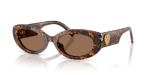 Dolce & Gabbana Sun DG4537 347073 Leo Transparent Dark Brown Dolce & Gabbana DG4537 347073 มุมเอียง 3/4
