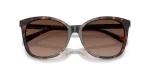Coach Sun HC8271U 5120T5 Dark Tortoise Dark Brown Gradient Polarized Coach HC8271U 5120T5 close-up ด้านหน้า