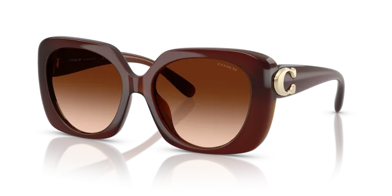 Coach HC8422U 584174 มุมเอียง 3/4