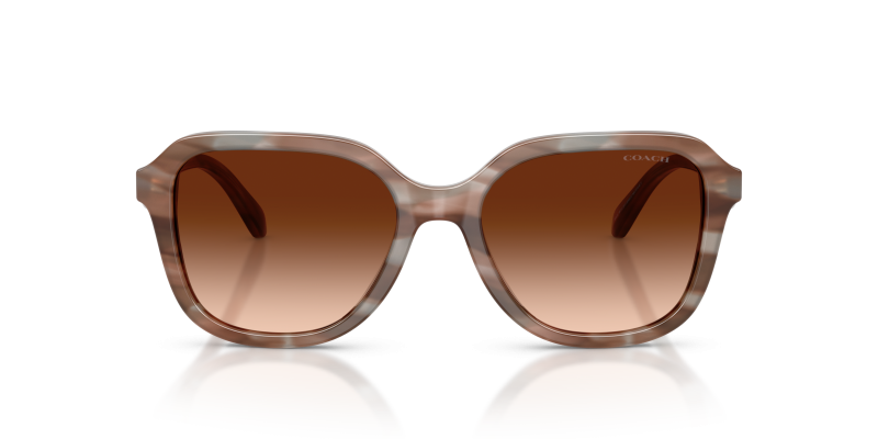 Coach HC8437F 590174 แว่นกันแดดทรงสี่เหลี่ยมกรอบอะซิเตทลายไม้ Redwood Maple สำหรับสุภาพสตรี