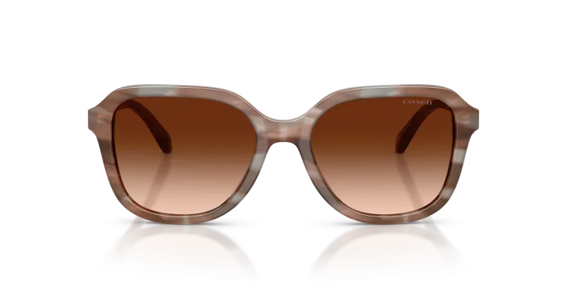 Coach Sun HC8437F 590174 Striated Redwood Maple Brown Gradient Coach HC8437F 590174 แว่นกันแดดทรงสี่เหลี่ยมกรอบอะซิเตทลายไม้ Redwood Maple สำหรับสุภาพสตรี