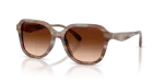Coach Sun HC8437F 590174 Striated Redwood Maple Brown Gradient Coach HC8437F 590174 มุมเอียง 3/4