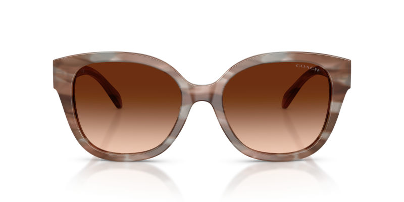 Coach Sun HC8438U 590174 Striated Redwood Maple Brown Gradient Coach HC8438U 590174 แว่นกันแดดอะซิเตทลายไม้โทนแดงไม้สน สำหรับผู้หญิง