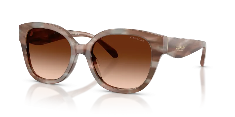 Coach HC8438U 590174 มุมเอียง 3/4