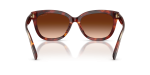 Coach Sun HC8453U 593874 Walnut Tortoise Brown Gradient Coach HC8453U 593874 ขาแว่นด้านใน
