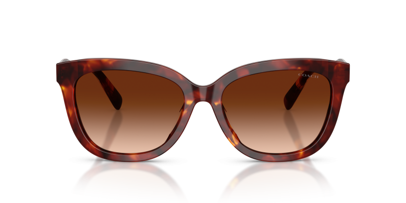 Coach Sun HC8453U 593874 Walnut Tortoise Brown Gradient Coach HC8453U 593874 แว่นกันแดดลายเต่าวอลนัท เลนส์น้ำตาลไล่ระดับ สำหรับผู้หญิง