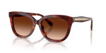 Coach Sun HC8453U 593874 Walnut Tortoise Brown Gradient Coach HC8453U 593874 มุมเอียง 3/4