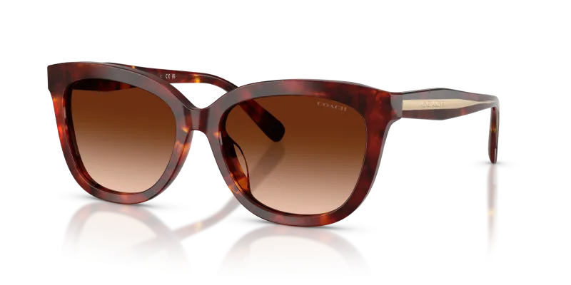 Coach HC8453U 593874 มุมเอียง 3/4