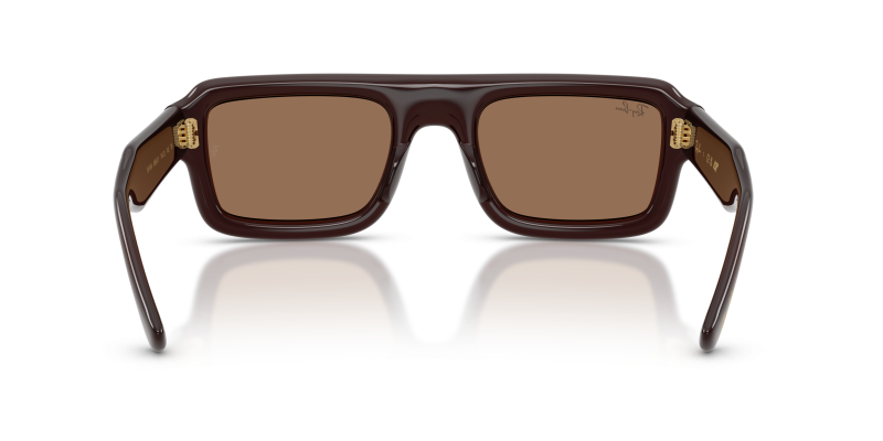 Rayban RB4954 689673 ขาแว่นด้านใน