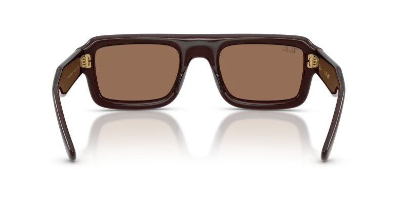 Rayban RB4954 689673 ขาแว่นด้านใน